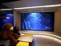 Pilihan Hotel Ramah Anak di Jakarta dan Bandung