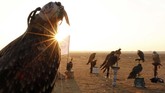Hari Burung Elang Sedunia pada 17 November juga dirayakan di Mesir, tepatnya berpusat di Borg al-Arab, Alexandria, Kairo.