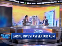 Insentif di Mata Pelaku Industri Sawit