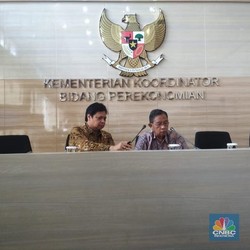 Klarifikasi Menko Darmin: 100% Asing Hanya di 25 Bidang Usaha