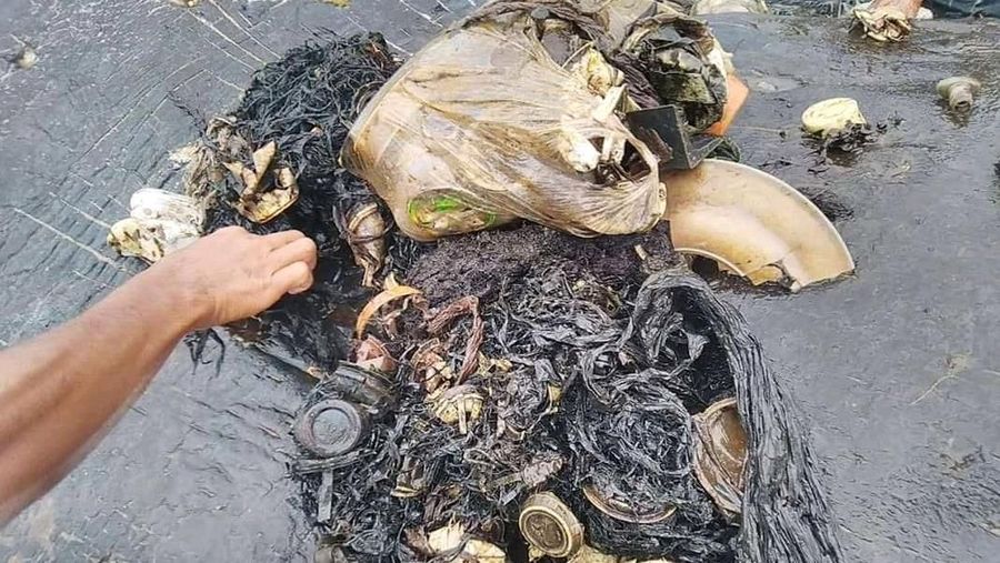 Saat ditemukan, di dalam perut paus itu terdapat beraneka ragam sampah.