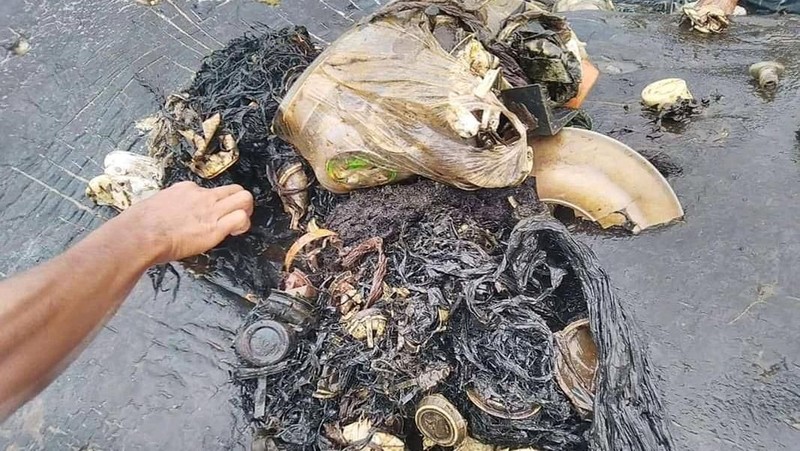 Saat ditemukan, di dalam perut paus itu terdapat beraneka ragam sampah.
