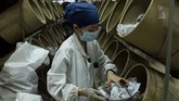 Kepercayaan warga pada obat tradisional ditambah dukungan WHO setidaknya menaruh harapan bagi China untuk memperluas pasar obat tradisionalnya ke skala global. (Photo by Johannes EISELE/AFP)
