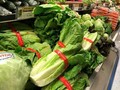 50 Warga AS dan Kanada Terinfeksi Bakteri dari Selada Romaine
