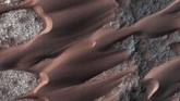 Nili Patera, salah satu gundukan paling aktif di planet Mars. Dengan memantau perubahan gundukan pasir, NASA dapat menentukan bagaimana angin bervariasi secara musiman dan tahun ke tahun. (REUTERS/NASA)