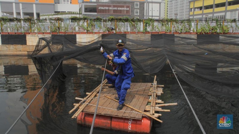 Kain yang seharga Rp 580 juta tersebut hanya berumur kurang dari empat bulan.