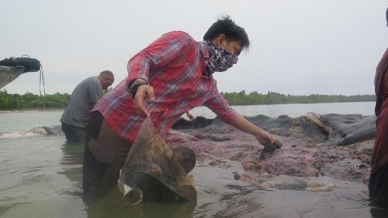 Saat ditemukan, di dalam perut paus itu terdapat beraneka ragam sampah.