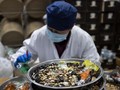 FOTO: Mimpi China Perluas Pasar Obat Tradisional
