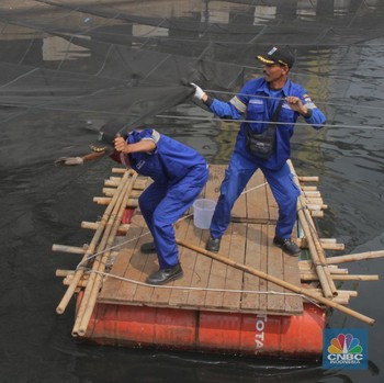 Banyak Lubang, Kain Waring Seharga 580 Juta ini Dibongkar