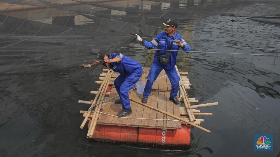 Kain yang seharga Rp 580 juta tersebut hanya berumur kurang dari empat bulan.