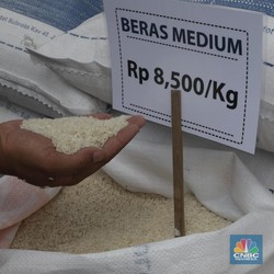 Bukan Ngadi-Ngadi, RI Memang Doyan Impor Beras, Ini Buktinya!