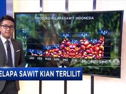 Harga Minyak Sawit Kian Terlilit