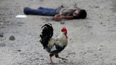 Ia akhirnya memutuskan untuk kabur setelah seorang putranya dipaksa masuk salah satu geng. Sambil menodongkan pistol ke kepala anaknya, anggota geng itu mengancam akan menghabisi nyawa bocah tersebut jika menolak. (Reuters/Goran Tomasevic)