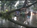 Puting Beliung Terjang Kota Bogor, Sejumlah Bangunan Rusak
