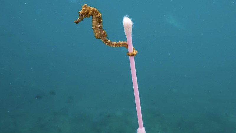 Sejak dahulu sampah plastik menjadi salah satu permasalahan yang dialami oleh berbagai negara di dunia karena penyebab pencemaran lingkungan.