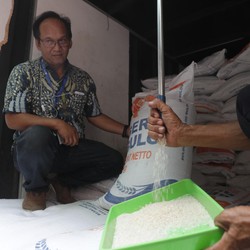 Menko Darmin Sebut Harga Beras Bisa tak Naik, Asal...