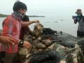 VIDEO: Laut Indonesia Dihadang Sampah Plastik