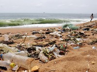 Februari 2019, Turis di Bali Kena Pungutan Sampah US$10