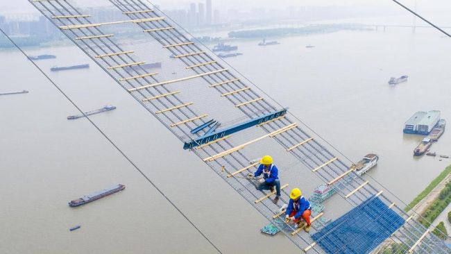 Ribuan Ikan Langka Mati, China Hentikan Pembangunan Jembatan