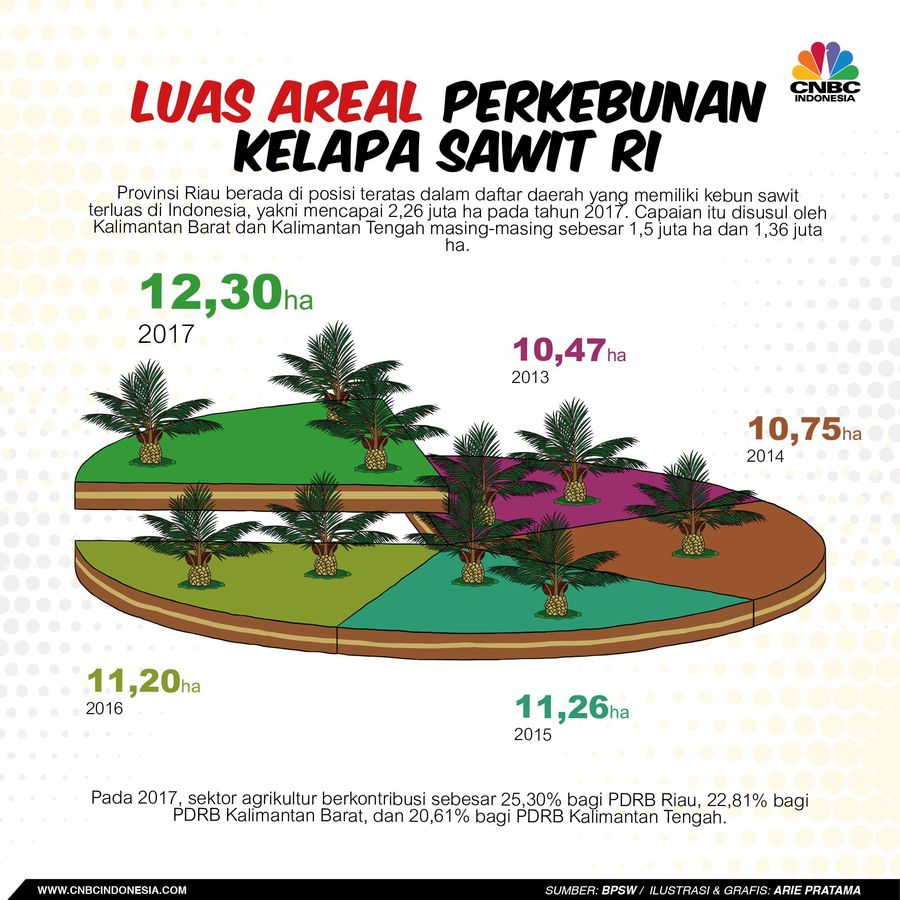 Indonesia adalah produsen terbesar CPO di seluruh dunia dengan luas areal tanam sawit terus bertambah setiap tahunnya.