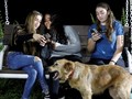 Instagram Uji Fitur Khusus untuk 'Influencer' dan 'Seleb'