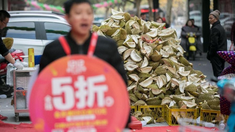 Pemerintah Malaysia mendorong pertanian durian skala besar, mengandalkan lonjakan ekspor 50% pada tahun 2030.