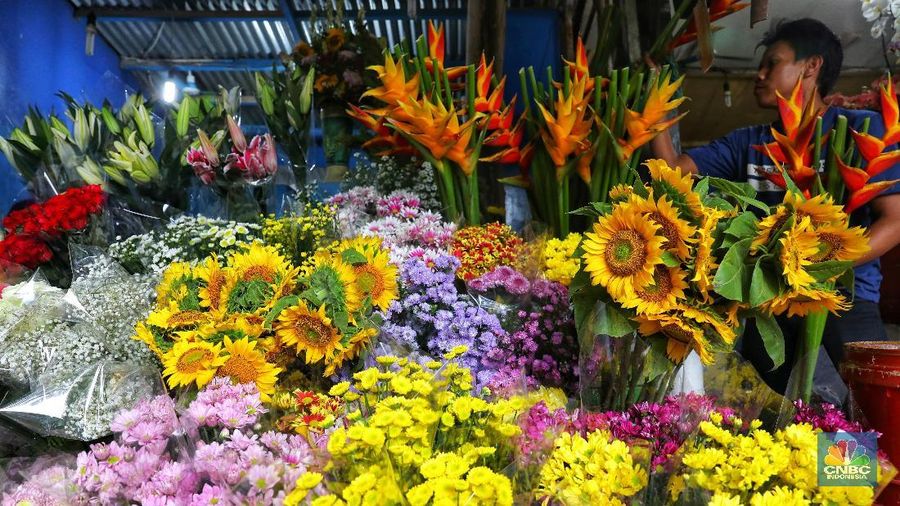 Pedagang bunga hias menata tanaman bunga di kawasan Kemang,  Jakarta,  Senin (26/11/2018). Kementerian Pertanian (Kementan) melalui Direktorat Jenderal Hortikultura tengah berupaya meningkatkan volume ekspor tanaman hias ke berbagai negara. Indonesia memiliki 173 jenis tanaman hias dengan ribuan jenis varietas yang berpotensi tembus pasar Eropa.  (CNBC Indonesia/Andrean Kristianto)