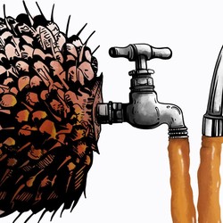 Balas Dendam Eropa ke RI Gak Habis-Habis! Ini Korban Barunya