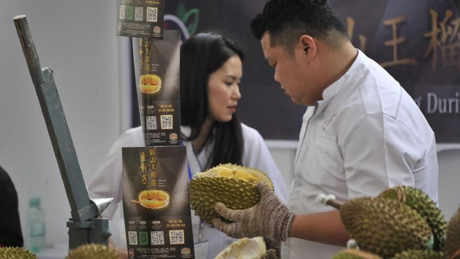 Pemerintah Malaysia mendorong pertanian durian skala besar, mengandalkan lonjakan ekspor 50% pada tahun 2030.