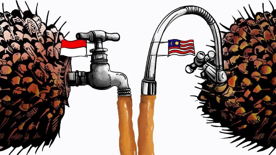 Stok Minyak Kelapa Sawit RI dan Malaysia