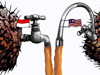 Stok CPO RI dan Malaysia Melimpah, Harga Merosot