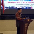 'Indonesia adalah Kura-kura, Lambat dan Stabil'