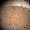 6 Oktober Planet Mars Dekati Bumi, ini Fakta si Planet Merah!