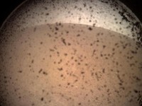 Masih Soal Alien: Foto NASA Ini Ungkap 'Tupai' di Mars?