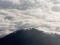 Tebing 'Negeri di Atas Awan Citorek' Ditutup Sementara