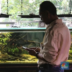 Menguak Rintangan Terbesar Bisnis Aquascape: Masalah Teknis