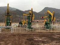 RI Jadi Penyumbang Besar Gas Metana Dunia, Sang Perusak Ozon