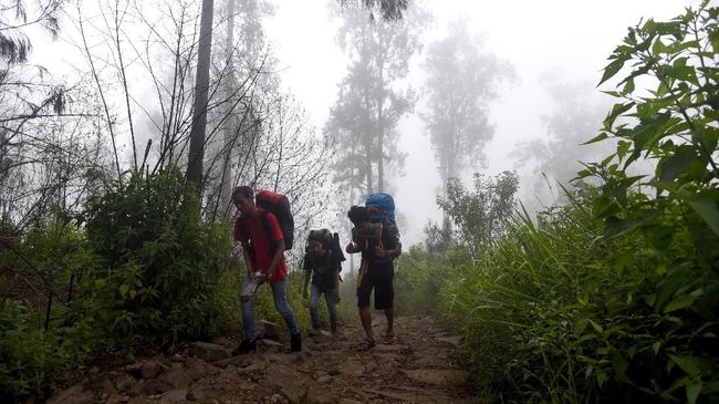 Jalur Pendakian Gunung Gede Pangrango Tutup hingga Maret 2019