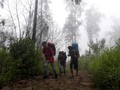 Jalur Pendakian Gunung Gede Pangrango Tutup hingga Maret 2019