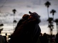 Menilik Perbedaan Antara Cinta dan Nafsu