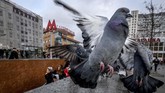 Burung-burung merpati terbang mendekati gerbang masuk stasiun kereta Marksistskaya di Moskow. (Photo by Yuri KADOBNOV / AFP)