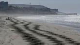 Sepasang kekasih migran duduk di tepi pantai di San Diego, pantai yang juga menjadi perbatasan Amerika Serikat dan Meksiko. (REUTERS/Mike Blake)
