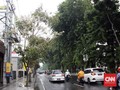 Surabaya Raih Adipura Kencana, JK Puji Wali Kota Risma