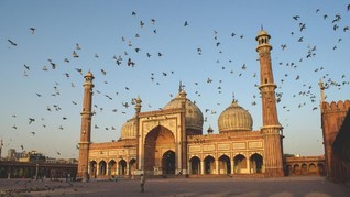 Stafsus Wapres Sebut Isu Polisi Masjid Hoaks