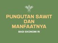 Pungutan Sawit dan Manfaat Bagi Ekonomi RI