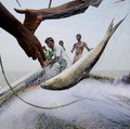 Potret Warga yang Bertahan Hidup di Pulau yang Hampir Hilang