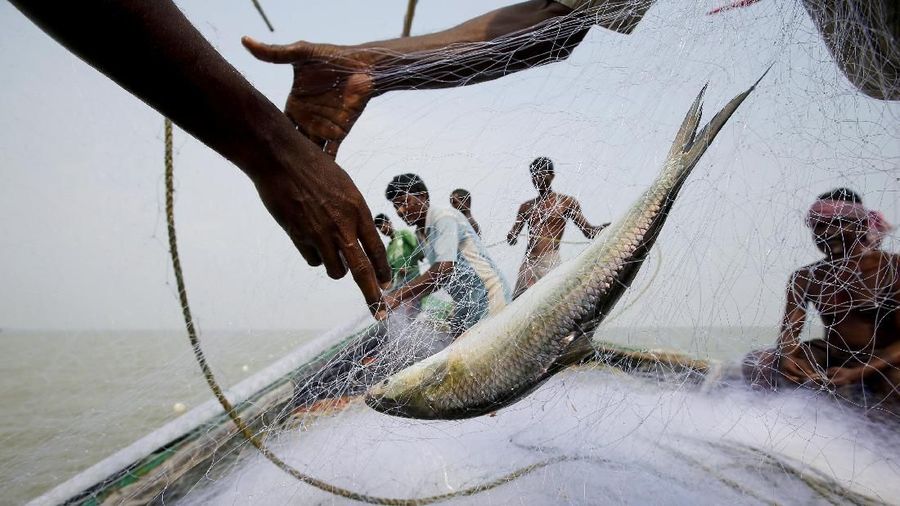 Ghoramara adalah salah satu dari banyak pulau di delta yang terkena dampak naiknya permukaan laut.