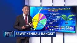 Harga Minyak Sawit Kembali Bangkit