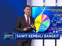 Harga Minyak Sawit Kembali Bangkit