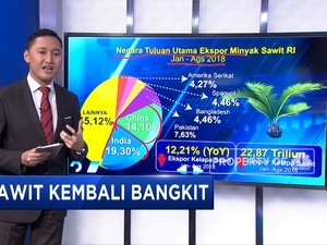 Harga Minyak Sawit Kembali Bangkit